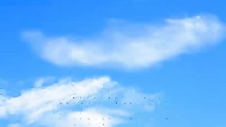 Ангелы в небе Господа славят