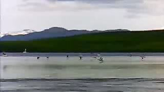 Будь прославлен наш Иисус