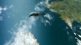 Господь Бог и сила и крепость