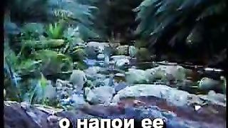 Дождь пошёл