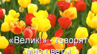 Велик наш Господь (караоке)