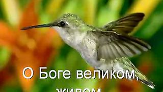 Велик наш Господь (караоке)