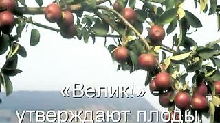 Велик наш Господь (караоке)