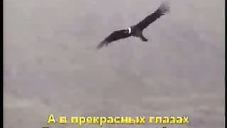 Елена Баграмян - Старый крест