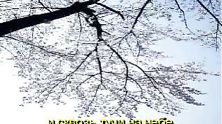 За окном темнота