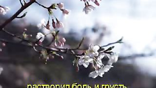 За окном темнота