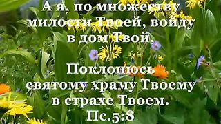 Иисус я люблю Тебя Иисус