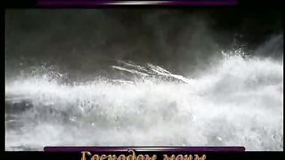 Как олень ищет путь