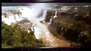 Как олень ищет путь