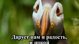 Мы одна семья