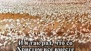 Мы одна семья