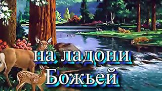 На ладони Бога