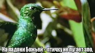 На ладони Бога