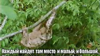 На ладони Бога