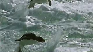 На ладони Бога