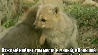 На ладони Бога