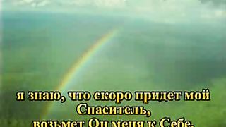 Чайка чайка