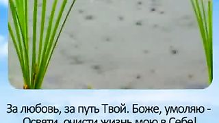 О Господь в молитве