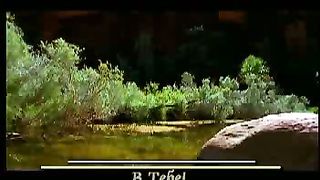 Господь мой Спаситель