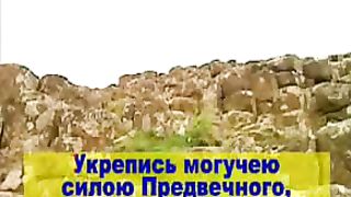 Бурями носимая в скорби безутешная