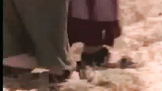 Моисей Стрижаус - Смотри на Агнца