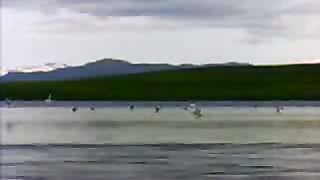 Вознесись Господь