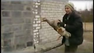 Письмо маме