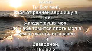 В Твоём святом присутствии