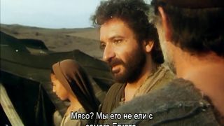 Библейские сказания: Моисей (1995)