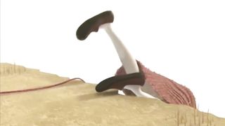 Не предавайтесь греху