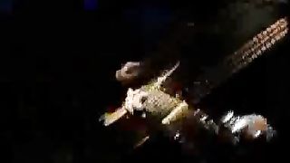 Глас вопиющего - В мире безумия