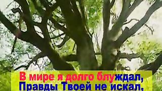 Верный Спаситель мой Бог