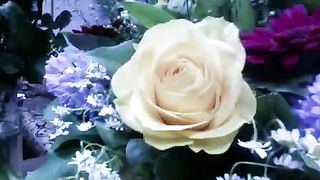 Будите зовите ищите