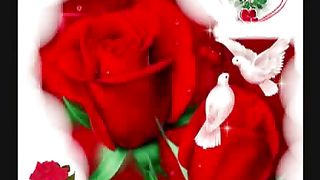 Будьте счастливы (Мы вам желаем счастья в Иисусе)