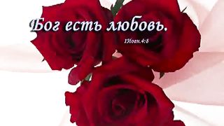 Будьте счастливы (Мы вам желаем счастья в Иисусе)