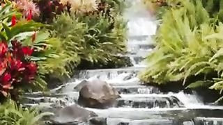 В белом облаке