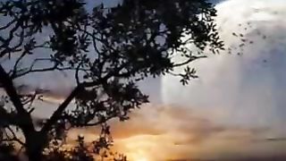 Важный вопрос (С каждым часом и с каждым днем)