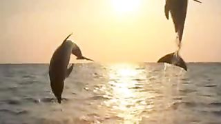 Важный вопрос (С каждым часом и с каждым днем)