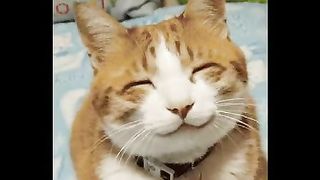 Валерий Короп - Радостный день