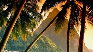 Высока любовь и дивна