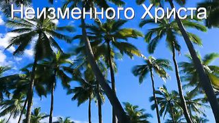 Высока любовь и дивна