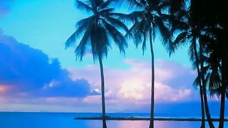 Высока любовь и дивна