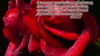 Венец (Небеса ожидают меня)