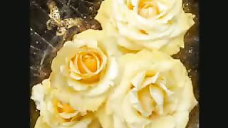 Венец (Небеса ожидают меня)