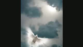 Венец (Небеса ожидают меня)