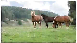 Геннадий Никутьев - Лазарет