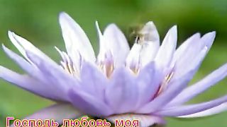 Господь любовь моя