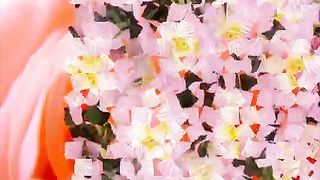 Добродетельная жена