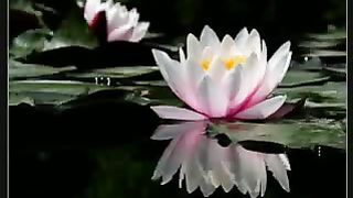 Если пришла беда