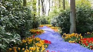 К Тебе Господь взываю я